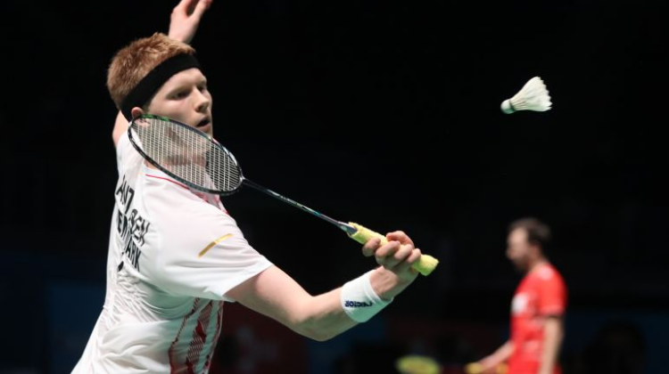 短期互利 短期互利